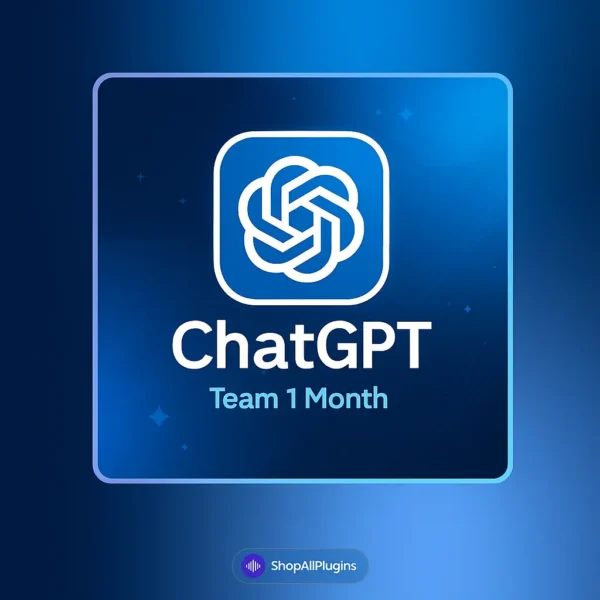 ChatGPT Team 1 Month Subscription