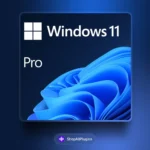 Windows 11 Professional,windows 11 professional key,windows 11 professional download,windows 11 professional price