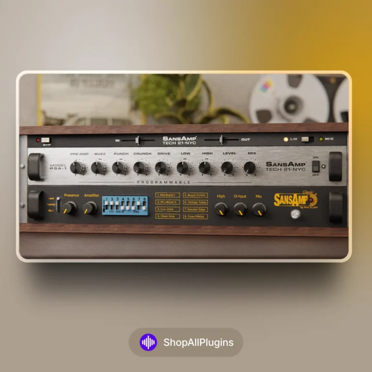 Audiopunks SansAmp Rack